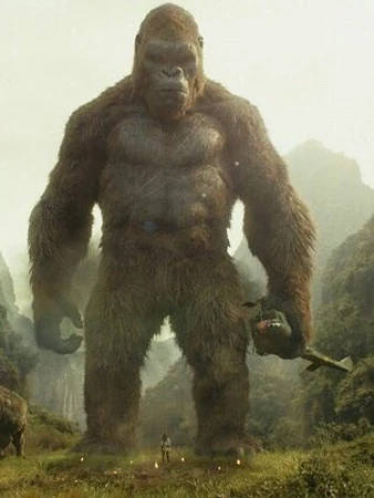 King "k" & Kong